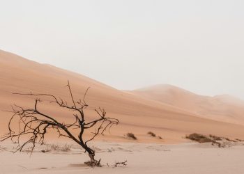 Apakah Orang Kafir Mendapat Pahala?