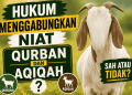 Hukum Menggabungkan Niat Qurban dan Aqiqah