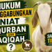 Hukum Menggabungkan Niat Qurban dan Aqiqah